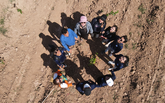 Plant approximately 3,000 luxury trees